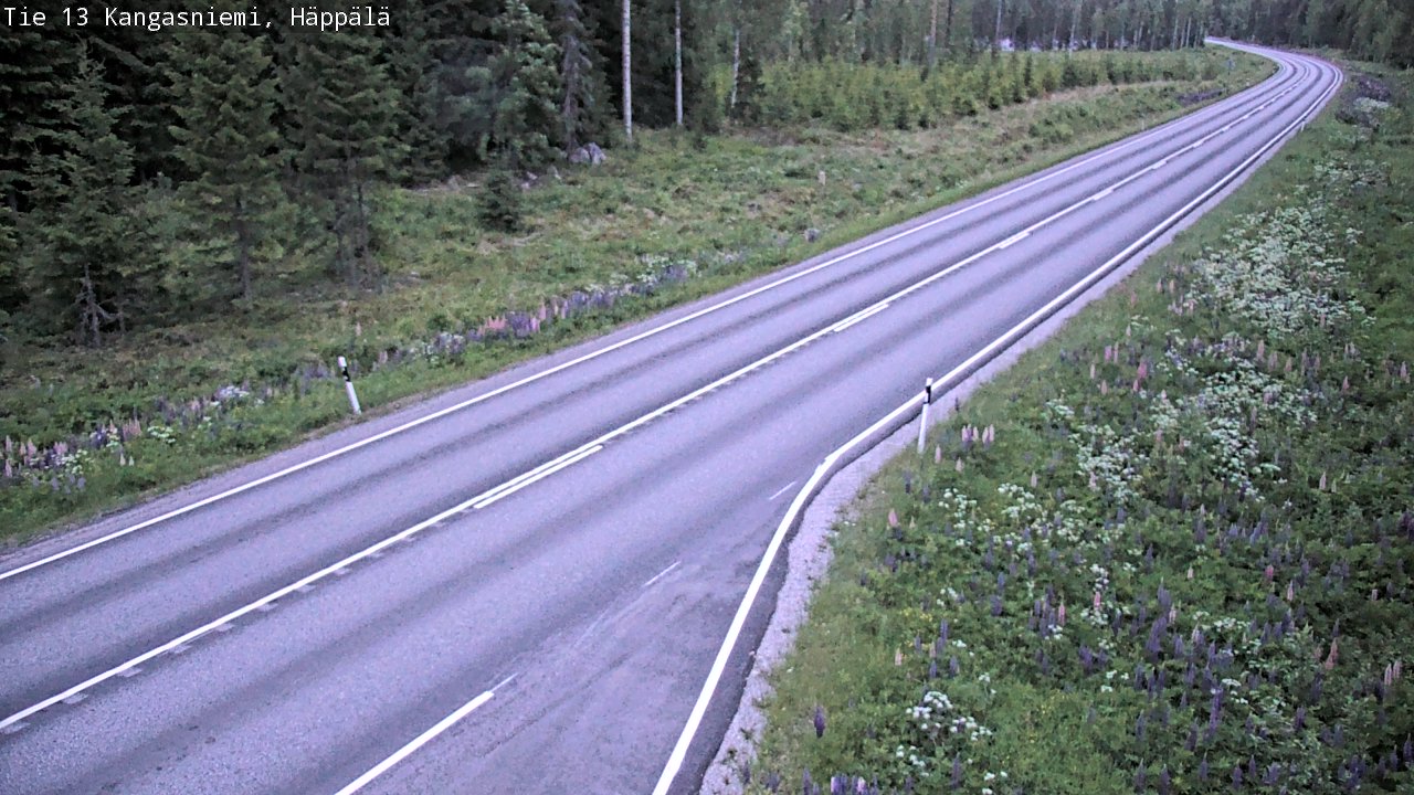 Kelikamerat Kuva Tie 13 Kangasniemi, Häppälä, Kangasniemi, Etelä-Savo