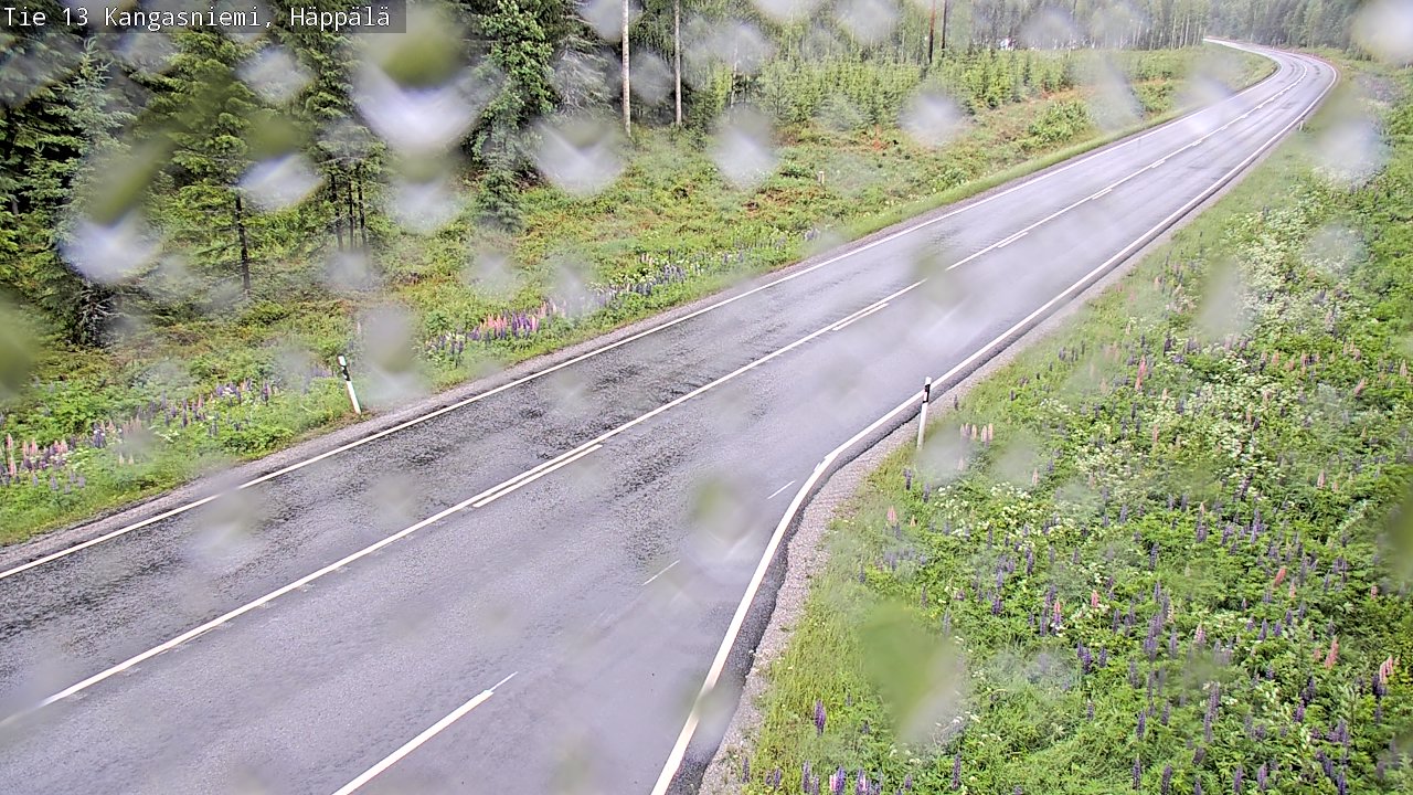 Weather Camera Image Väg 13 Kangasniemi, Häppälä, Kangasniemi, Etelä-Savo