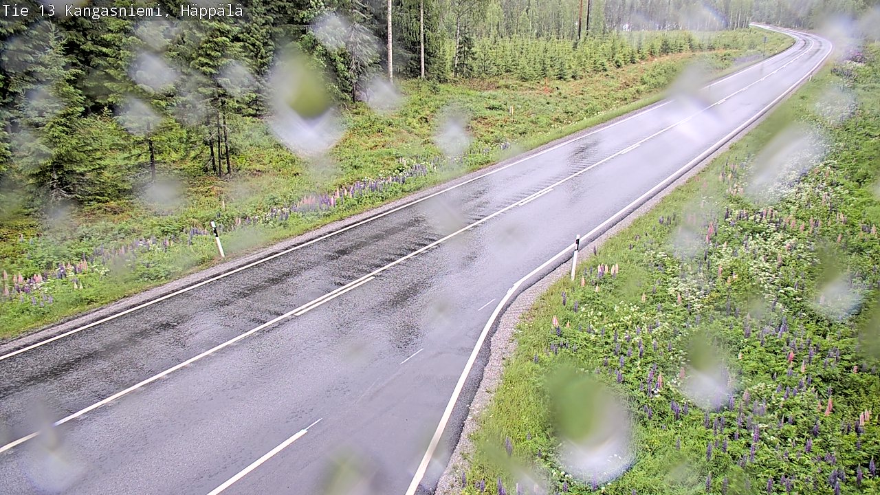 Kelikamerat Kuva Tie 13 Kangasniemi, Häppälä, Kangasniemi, Etelä-Savo