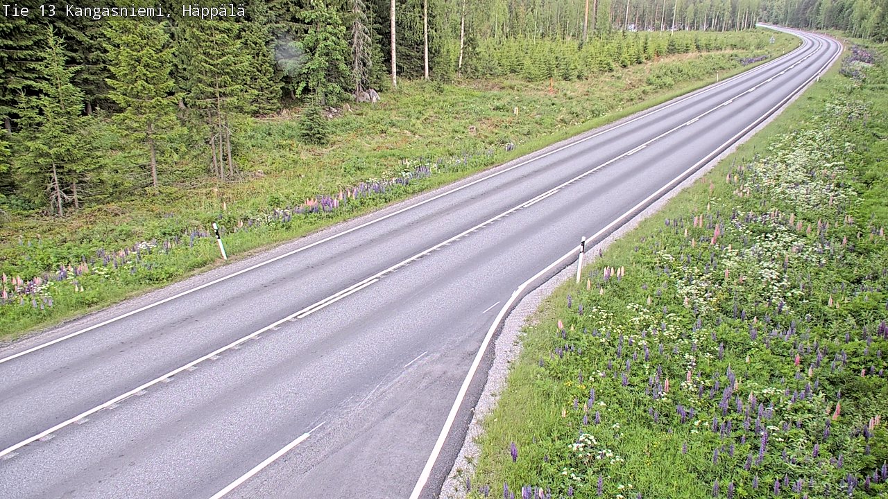 Kelikamerat Kuva Tie 13 Kangasniemi, Häppälä, Kangasniemi, Etelä-Savo