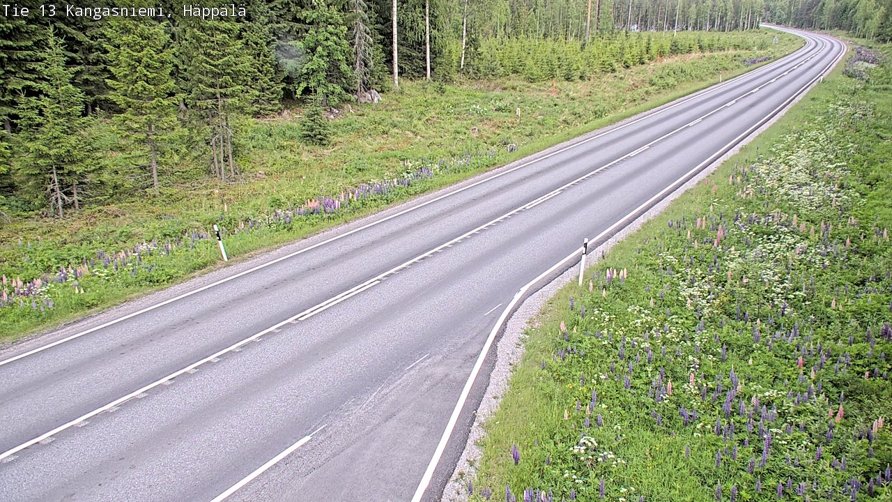 Kelikamerat Kuva Tie 13 Kangasniemi, Häppälä, Kangasniemi, Etelä-Savo