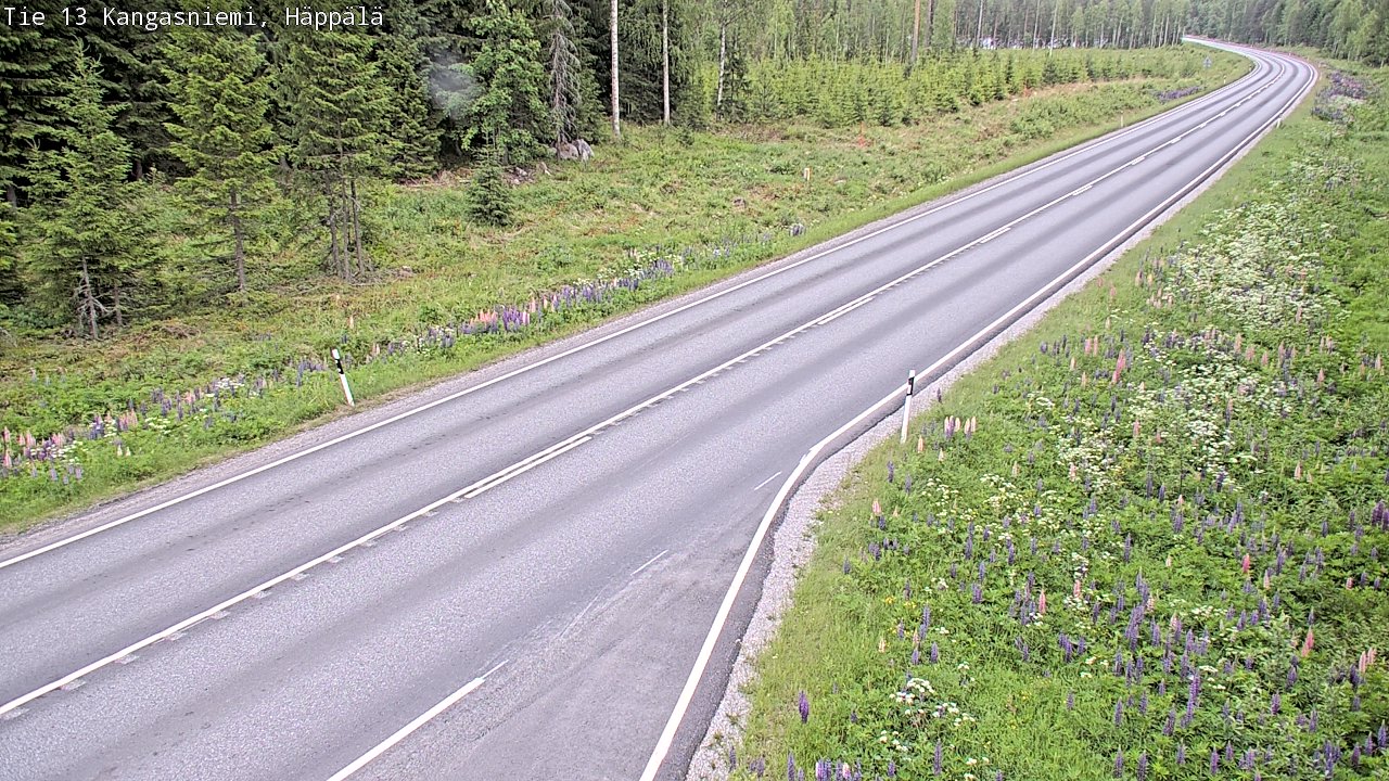 Kelikamerat Kuva Tie 13 Kangasniemi, Häppälä, Kangasniemi, Etelä-Savo