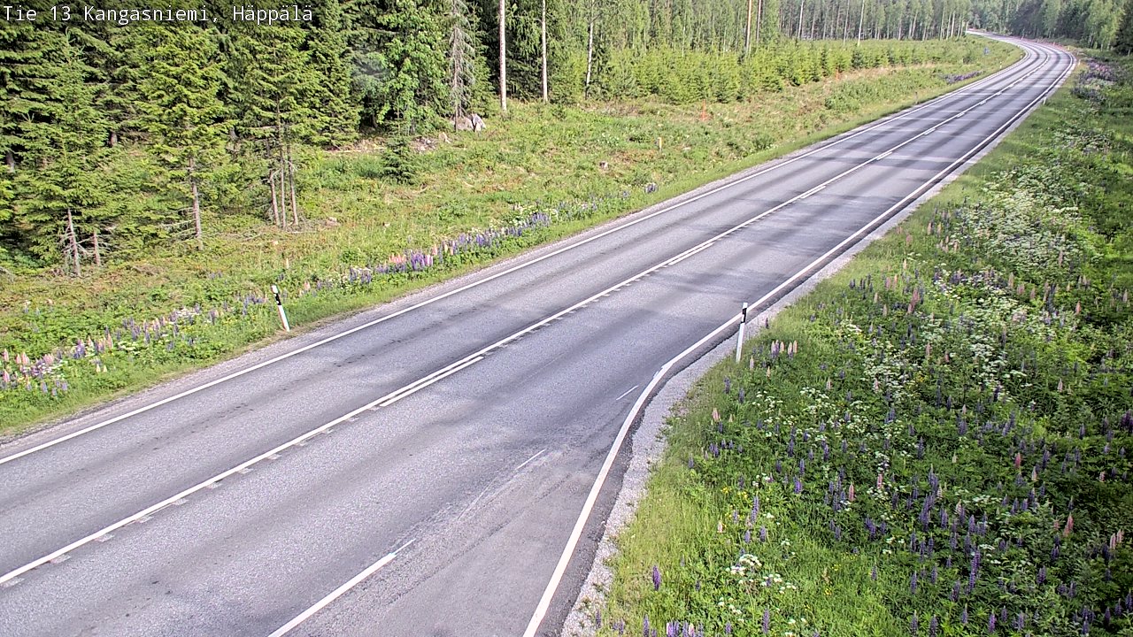Kelikamerat Kuva Tie 13 Kangasniemi, Häppälä, Kangasniemi, Etelä-Savo