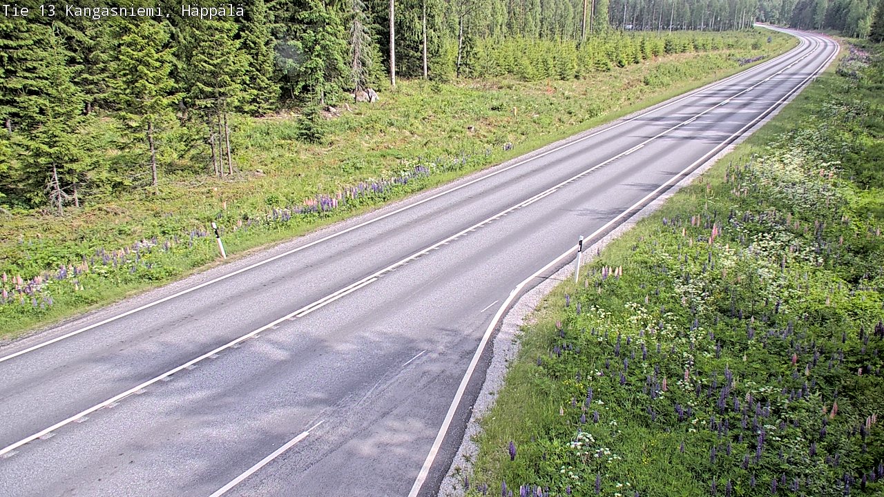 Kelikamerat Kuva Tie 13 Kangasniemi, Häppälä, Kangasniemi, Etelä-Savo