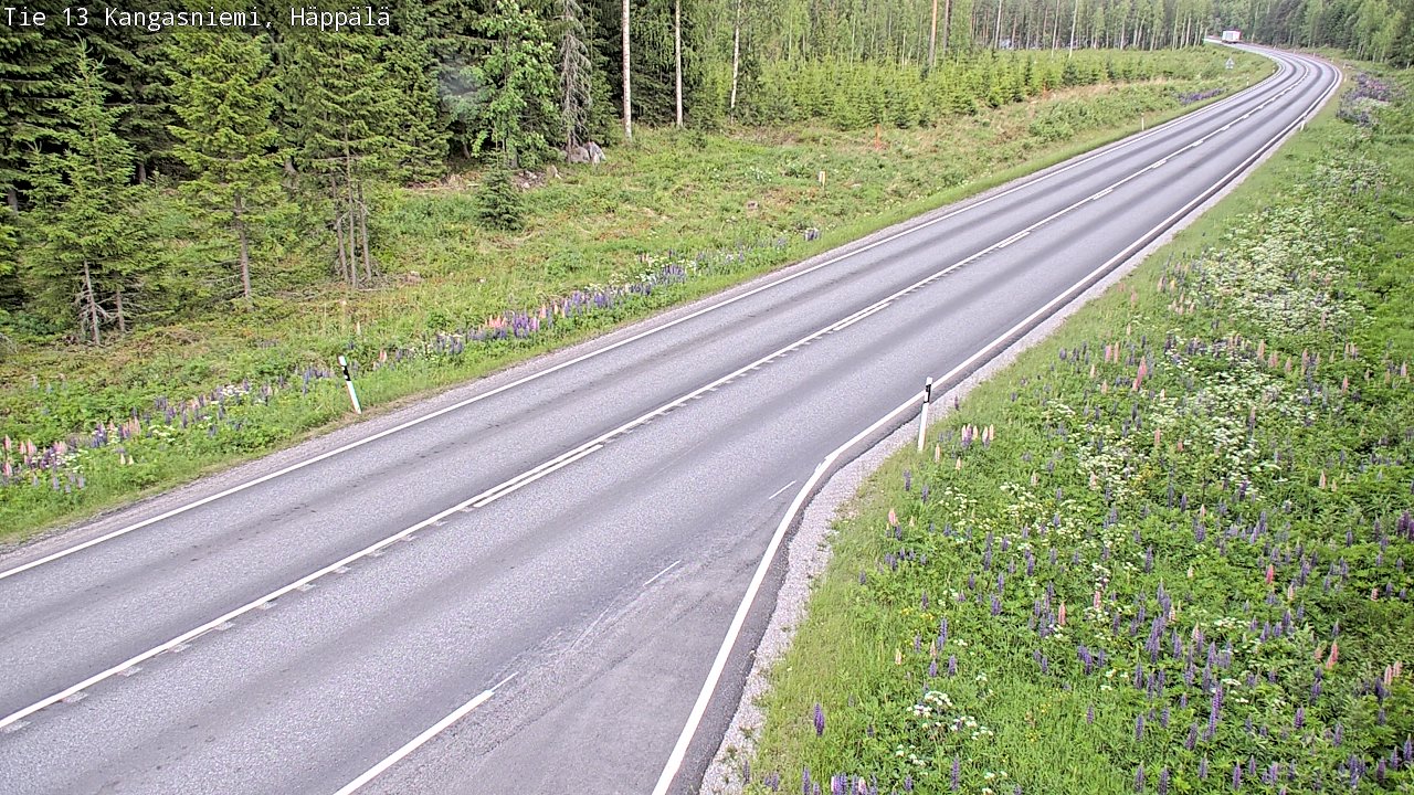 Kelikamerat Kuva Tie 13 Kangasniemi, Häppälä, Kangasniemi, Etelä-Savo
