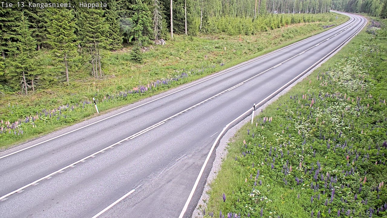 Kelikamerat Kuva Tie 13 Kangasniemi, Häppälä, Kangasniemi, Etelä-Savo