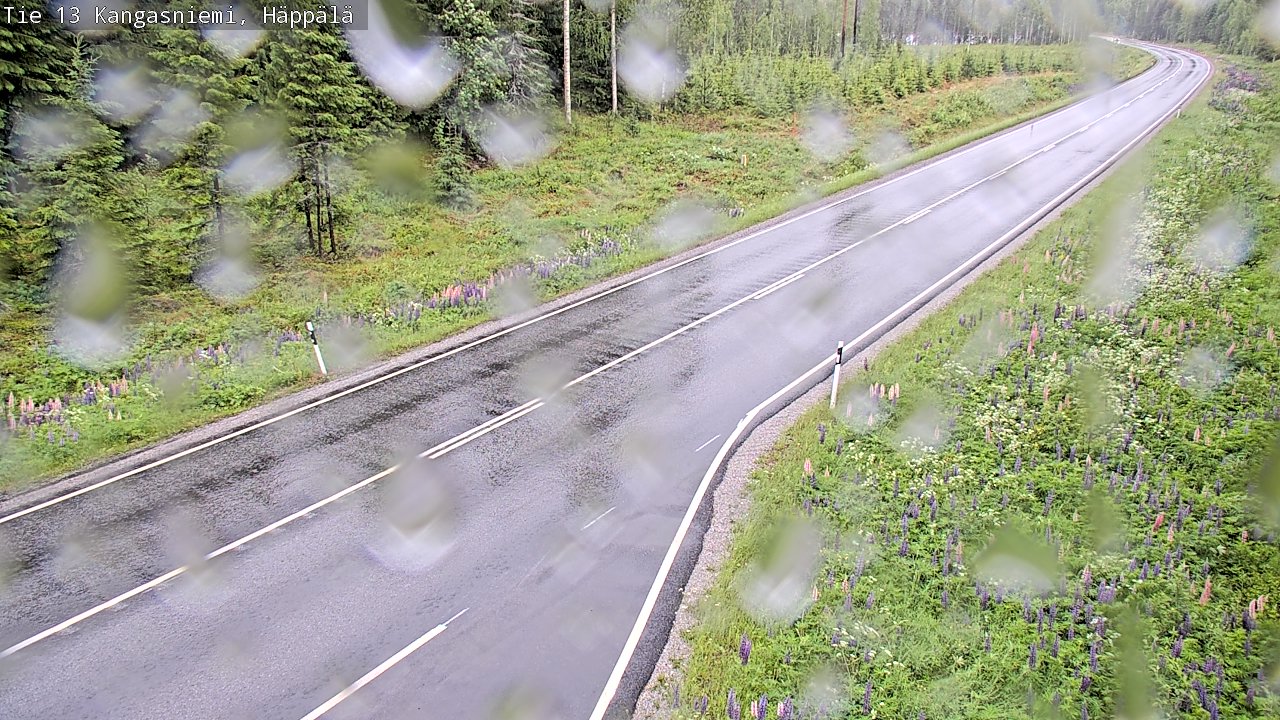 Weather Camera Image Väg 13 Kangasniemi, Häppälä, Kangasniemi, Etelä-Savo