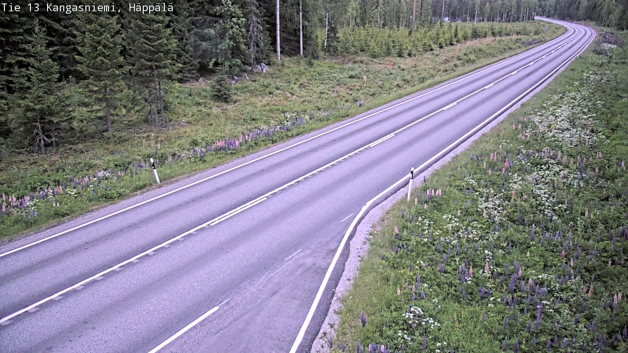Kelikamerat Kuva Tie 13 Kangasniemi, Häppälä, Kangasniemi, Etelä-Savo
