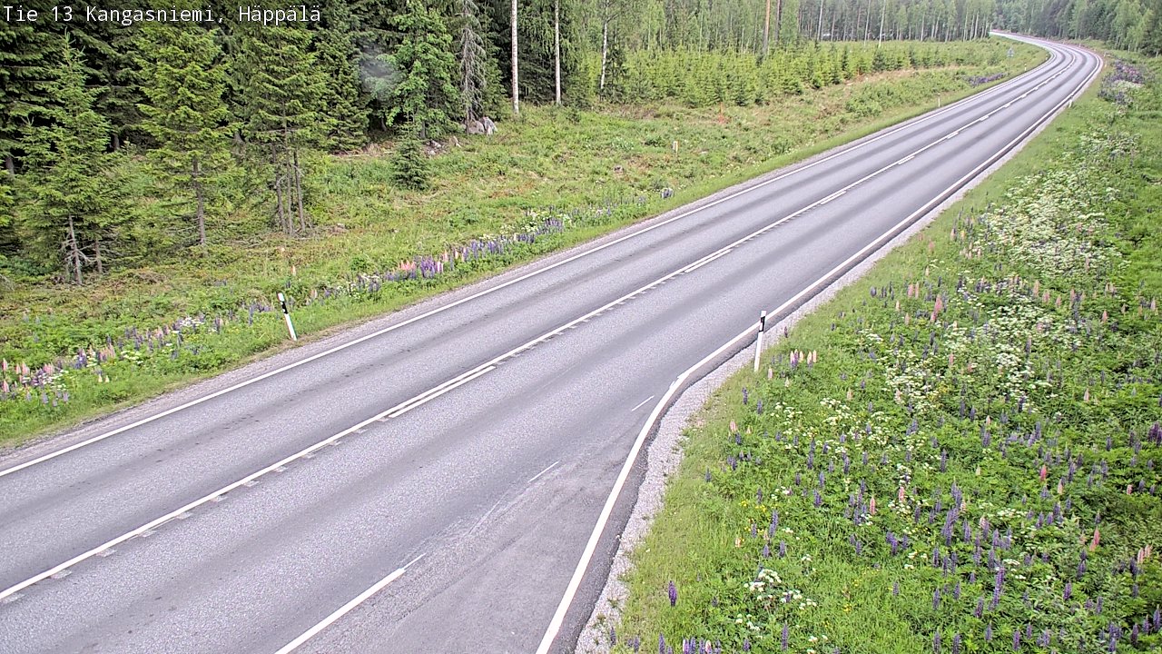 Kelikamerat Kuva Tie 13 Kangasniemi, Häppälä, Kangasniemi, Etelä-Savo