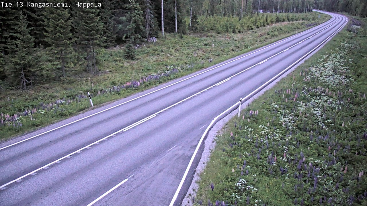 Kelikamerat Kuva Tie 13 Kangasniemi, Häppälä, Kangasniemi, Etelä-Savo