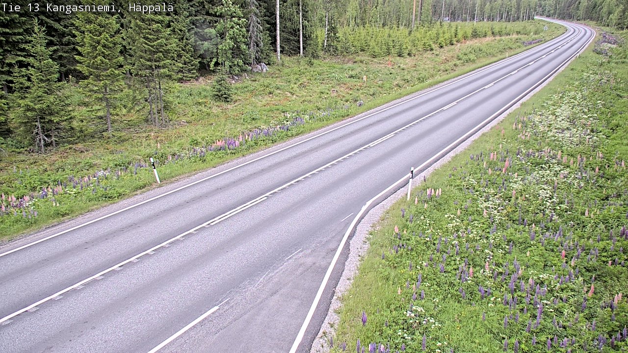 Kelikamerat Kuva Tie 13 Kangasniemi, Häppälä, Kangasniemi, Etelä-Savo