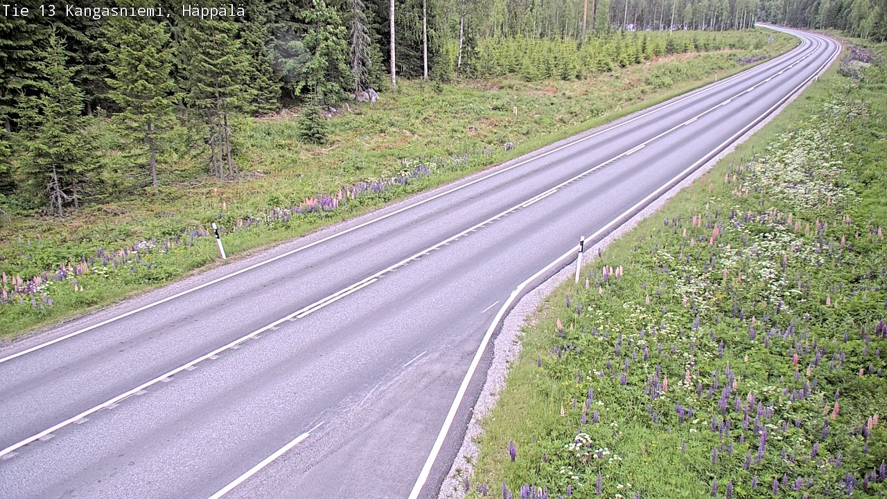 Kelikamerat Kuva Tie 13 Kangasniemi, Häppälä, Kangasniemi, Etelä-Savo