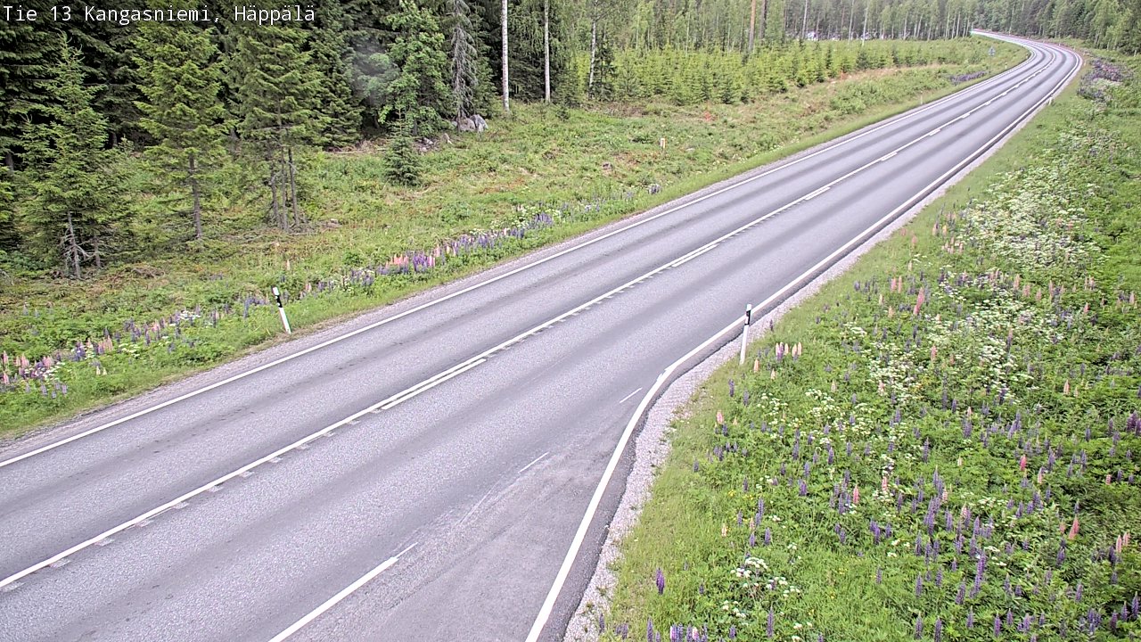 Kelikamerat Kuva Tie 13 Kangasniemi, Häppälä, Kangasniemi, Etelä-Savo