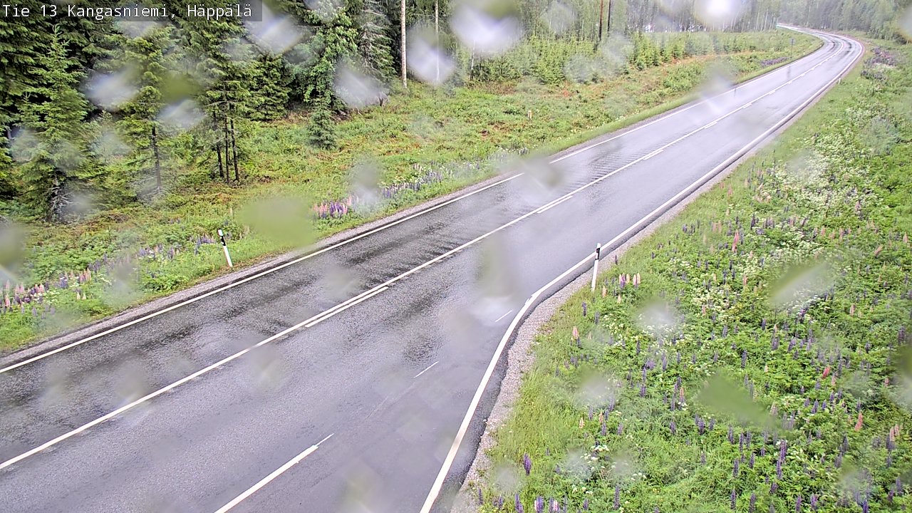 Weather Camera Image Väg 13 Kangasniemi, Häppälä, Kangasniemi, Etelä-Savo
