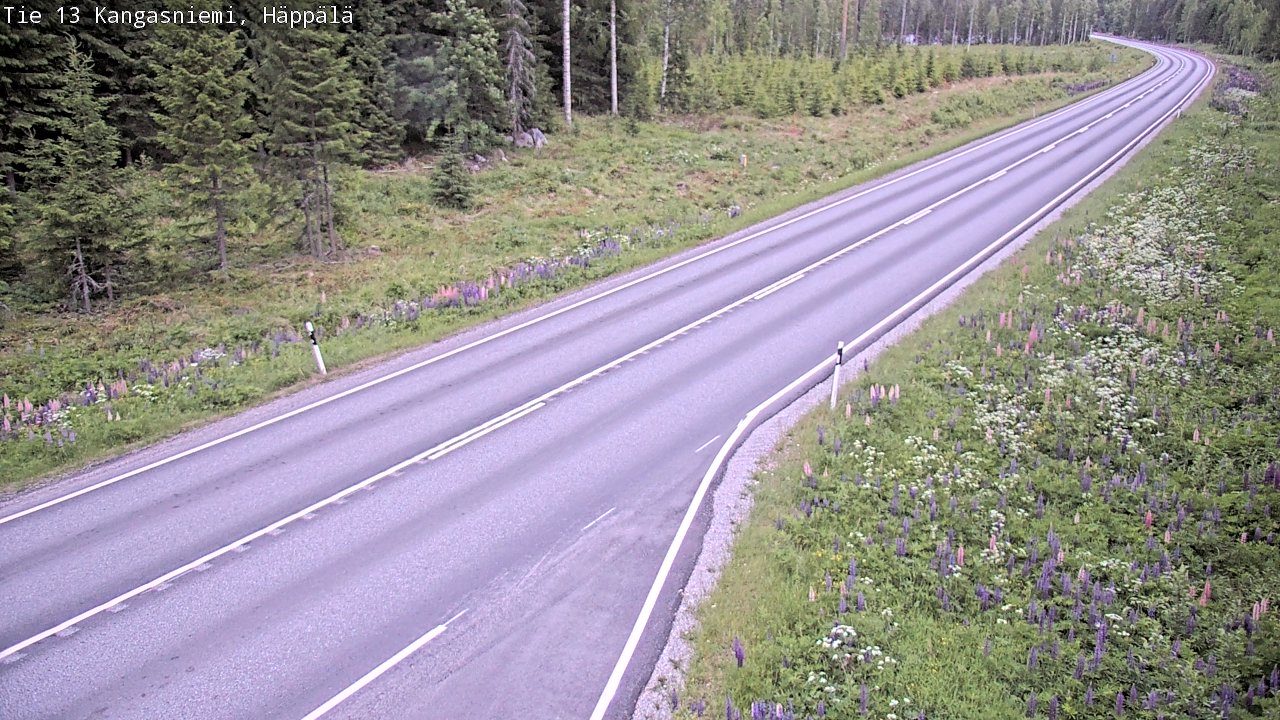 Kelikamerat Kuva Tie 13 Kangasniemi, Häppälä, Kangasniemi, Etelä-Savo