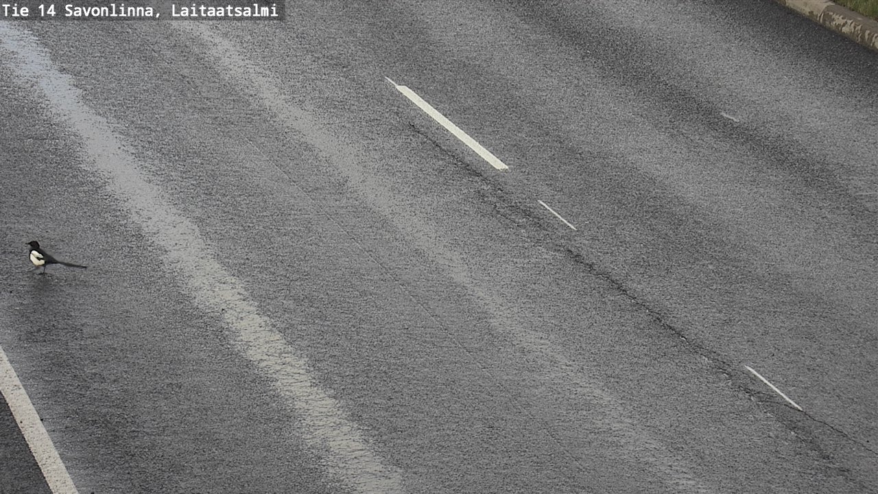 Weather Camera Image Väg 14 Nyslott, Laitaatsalmi, Savonlinna, Etelä-Savo