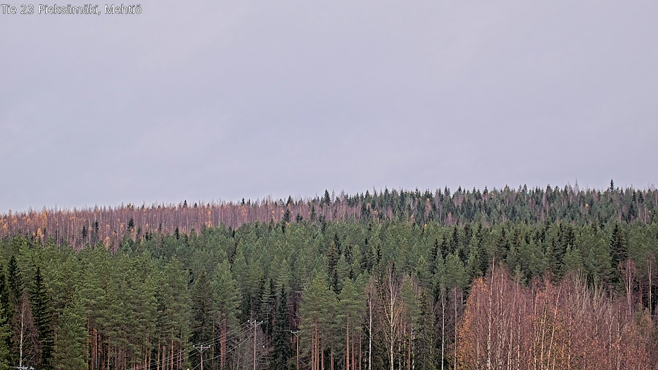 Weather Camera Image vt9_Pieksämäki_Mehtiö, Pieksämäki, Etelä-Savo