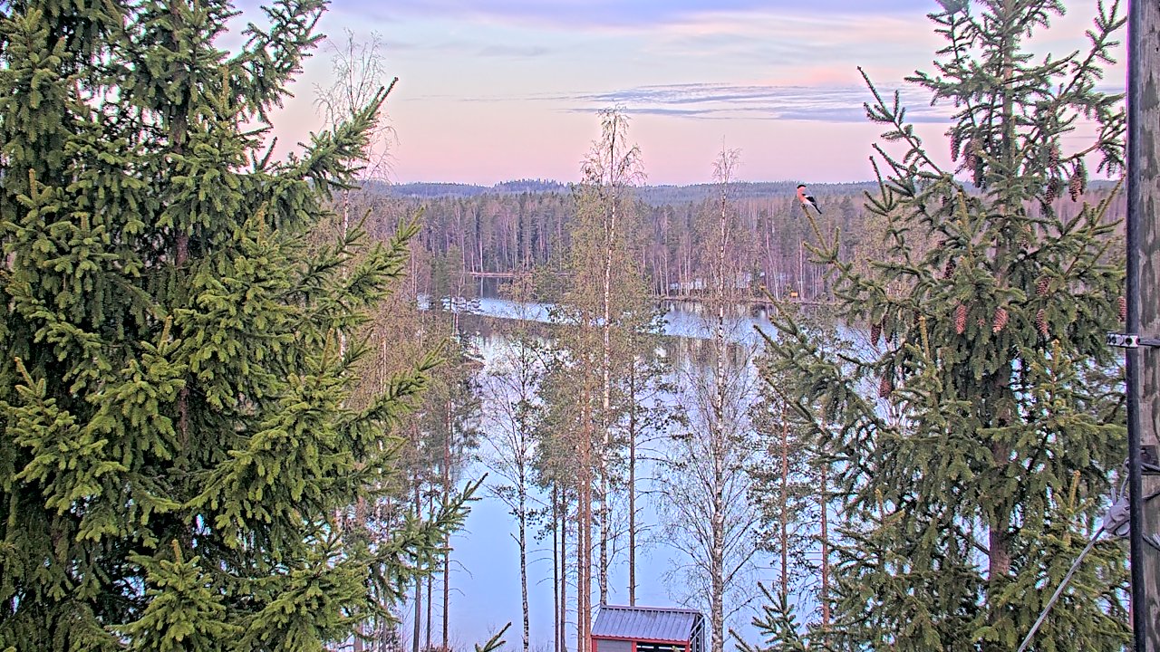 Weather Camera Image vt9_Pieksämäki_Mehtiö, Pieksämäki, Etelä-Savo