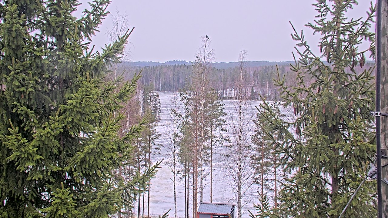 Kelikamerat Kuva vt9_Pieksämäki_Mehtiö, Pieksämäki, Etelä-Savo