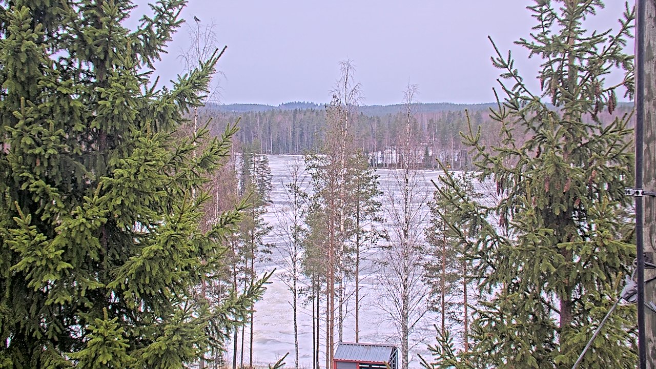 Kelikamerat Kuva vt9_Pieksämäki_Mehtiö, Pieksämäki, Etelä-Savo