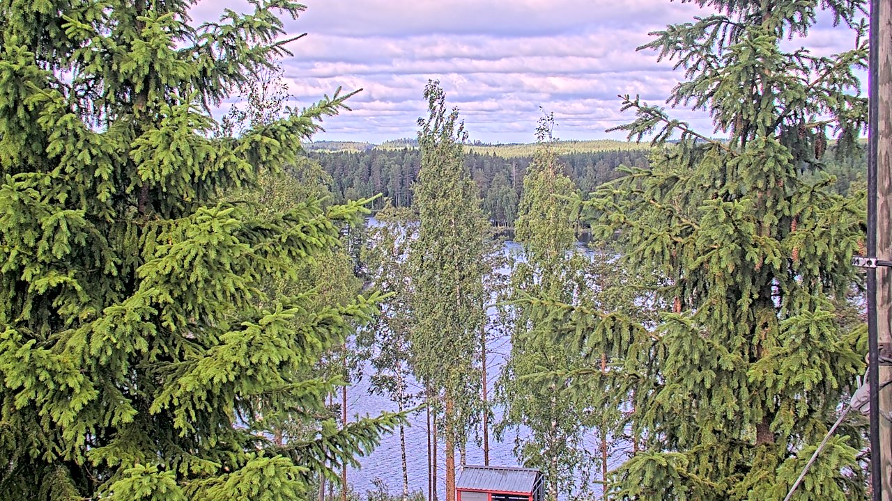 Weather Camera Image vt9_Pieksämäki_Mehtiö, Pieksämäki, Etelä-Savo