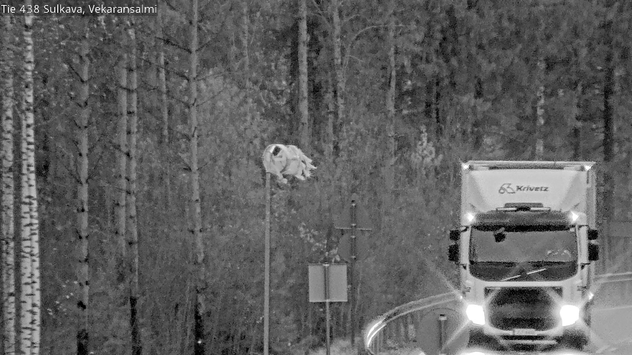 Kelikamerat Kuva Tie 438, Sulkava, Vekaransalmi, Sulkava, Etelä-Savo