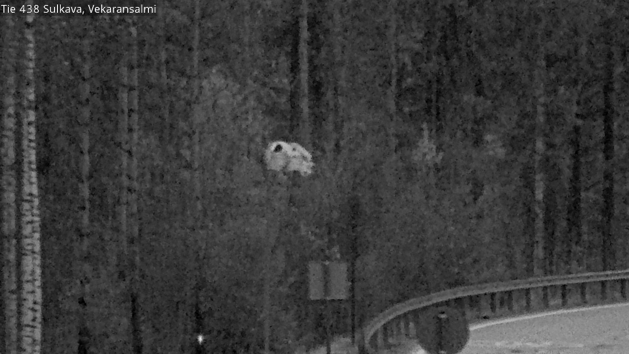 Kelikamerat Kuva Tie 438, Sulkava, Vekaransalmi, Sulkava, Etelä-Savo