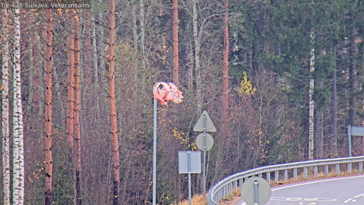 Kelikamerat Kuva Tie 438, Sulkava, Vekaransalmi, Sulkava, Etelä-Savo