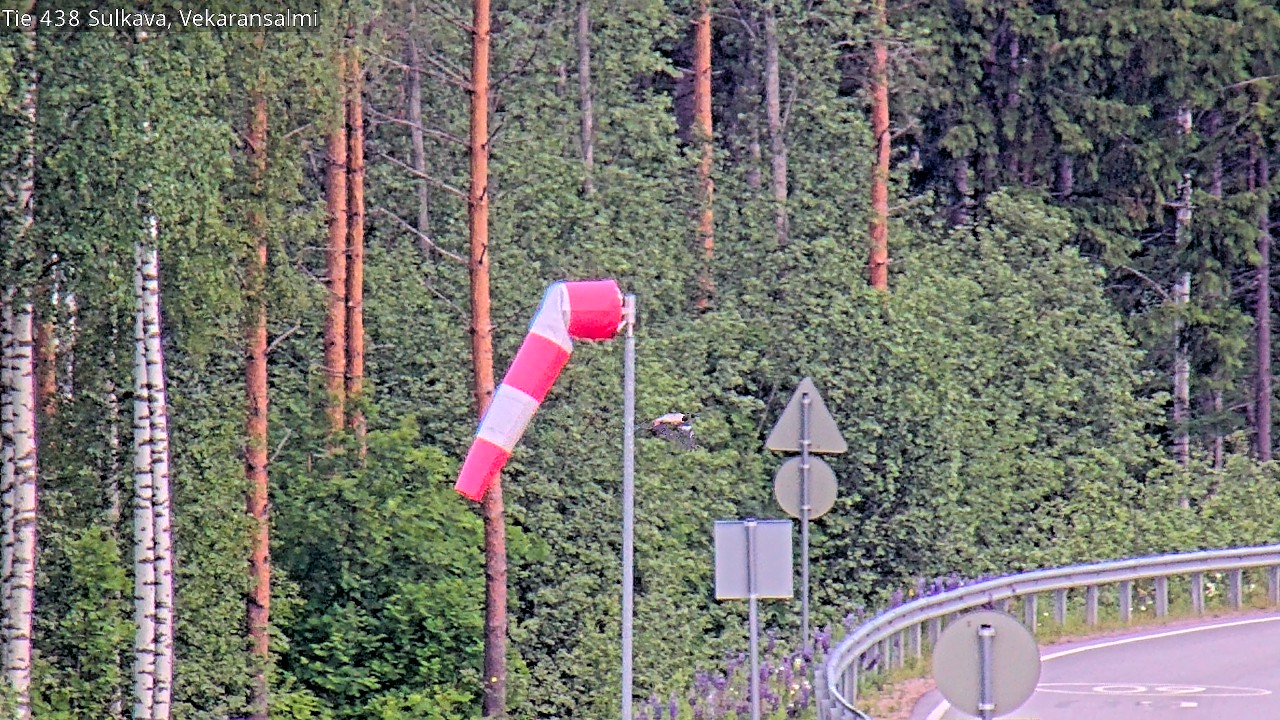 Weather Camera Image Road 438, Sulkava, Vekaransalmi, Sulkava, Etelä-Savo