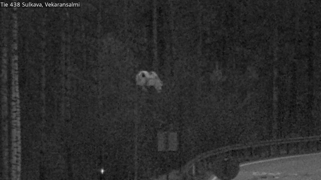 Kelikamerat Kuva Tie 438, Sulkava, Vekaransalmi, Sulkava, Etelä-Savo