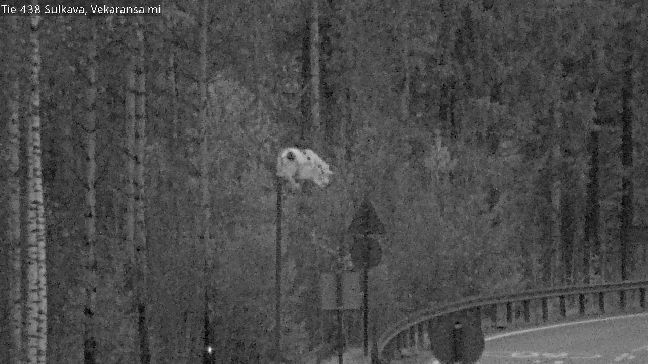 Kelikamerat Kuva Tie 438, Sulkava, Vekaransalmi, Sulkava, Etelä-Savo