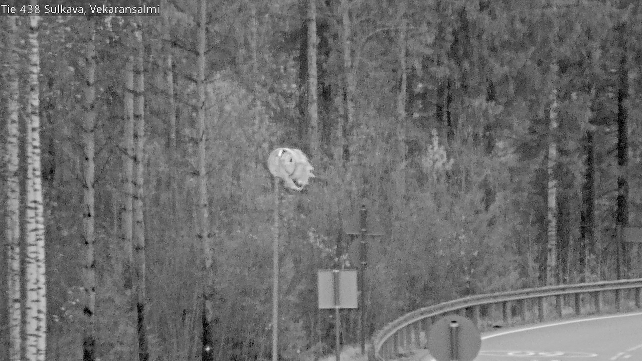 Kelikamerat Kuva Tie 438, Sulkava, Vekaransalmi, Sulkava, Etelä-Savo