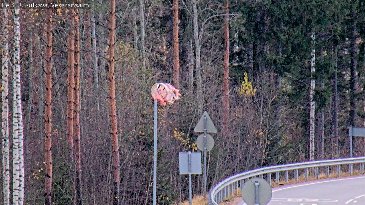 Kelikamerat Kuva Tie 438, Sulkava, Vekaransalmi, Sulkava, Etelä-Savo