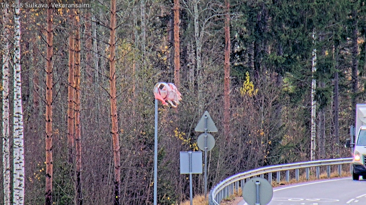 Kelikamerat Kuva Tie 438, Sulkava, Vekaransalmi, Sulkava, Etelä-Savo