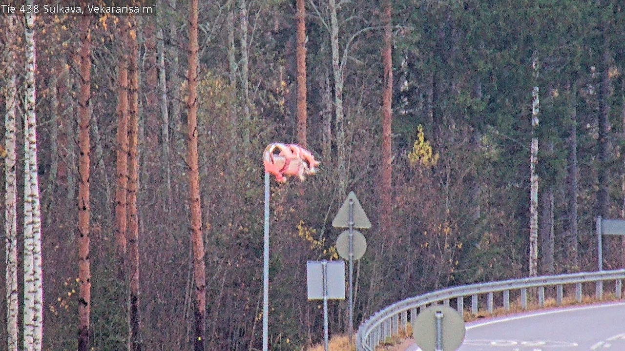 Kelikamerat Kuva Tie 438, Sulkava, Vekaransalmi, Sulkava, Etelä-Savo