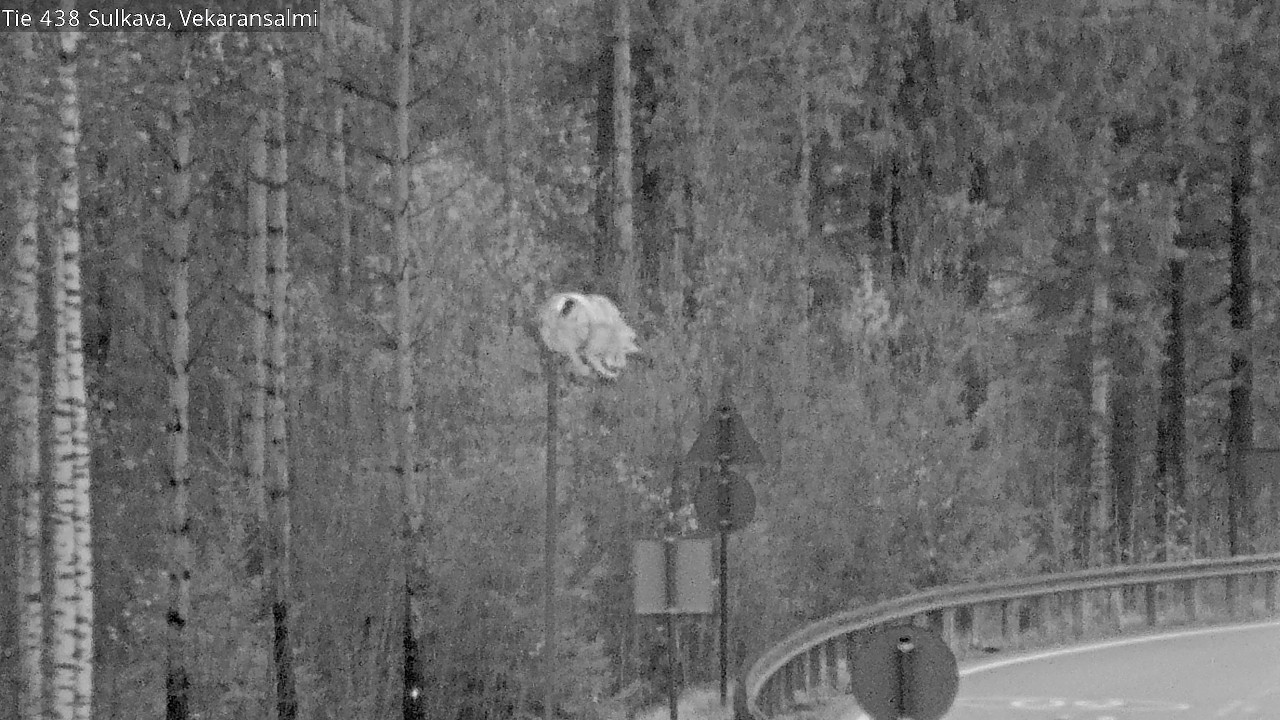 Kelikamerat Kuva Tie 438, Sulkava, Vekaransalmi, Sulkava, Etelä-Savo