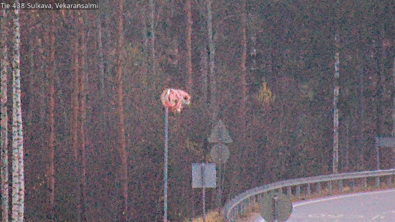 Kelikamerat Kuva Tie 438, Sulkava, Vekaransalmi, Sulkava, Etelä-Savo