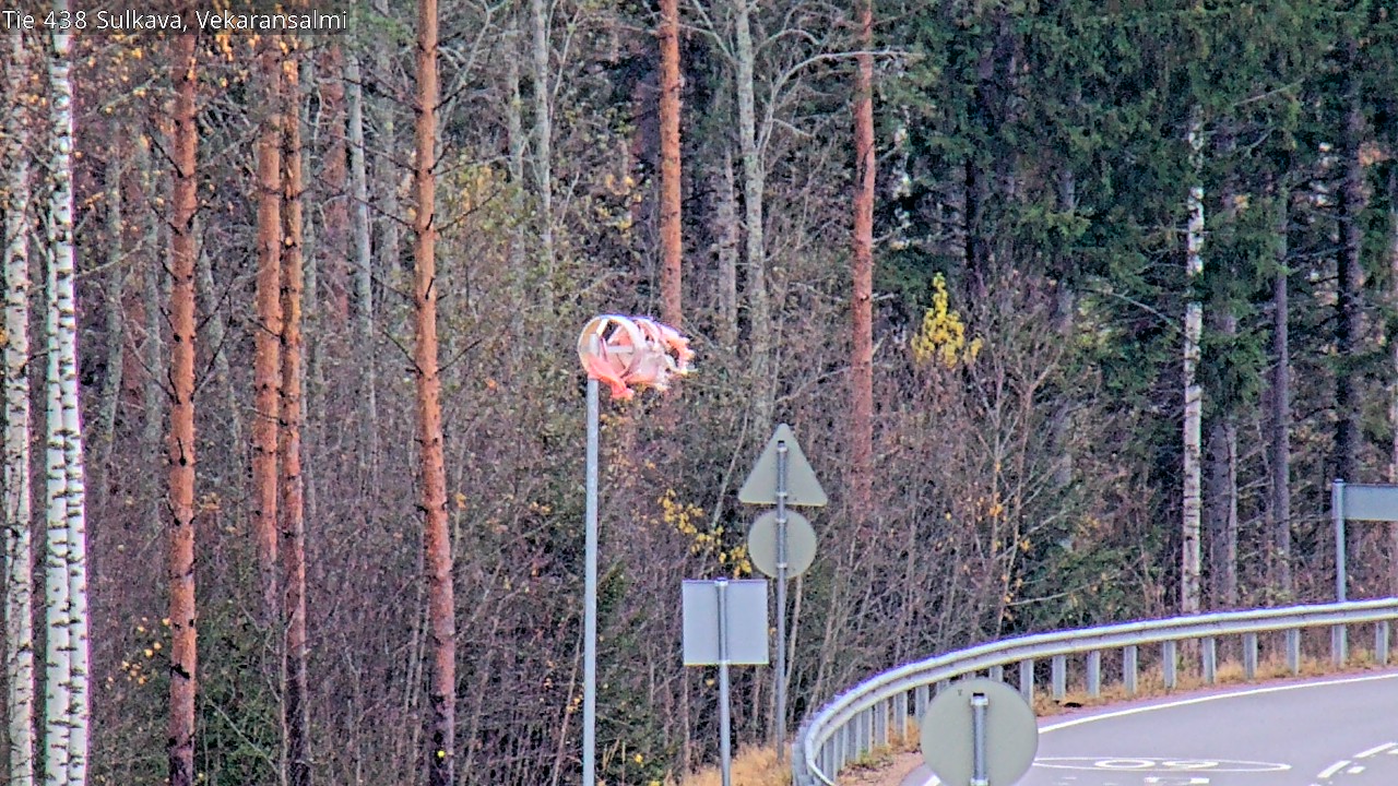 Kelikamerat Kuva Tie 438, Sulkava, Vekaransalmi, Sulkava, Etelä-Savo