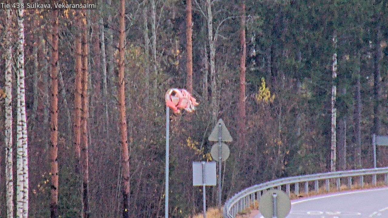 Kelikamerat Kuva Tie 438, Sulkava, Vekaransalmi, Sulkava, Etelä-Savo