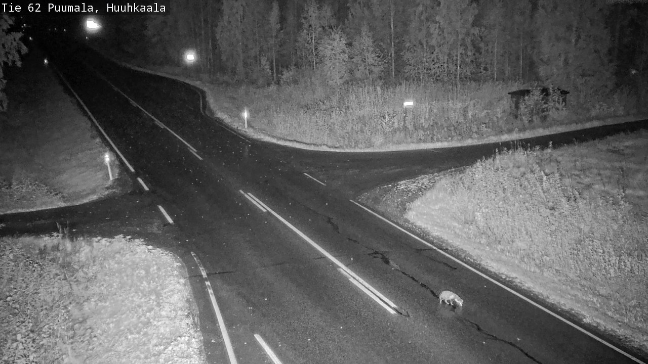 Weather Camera Image Road 62 Puumala, Huuhkaala, Puumala, Etelä-Savo