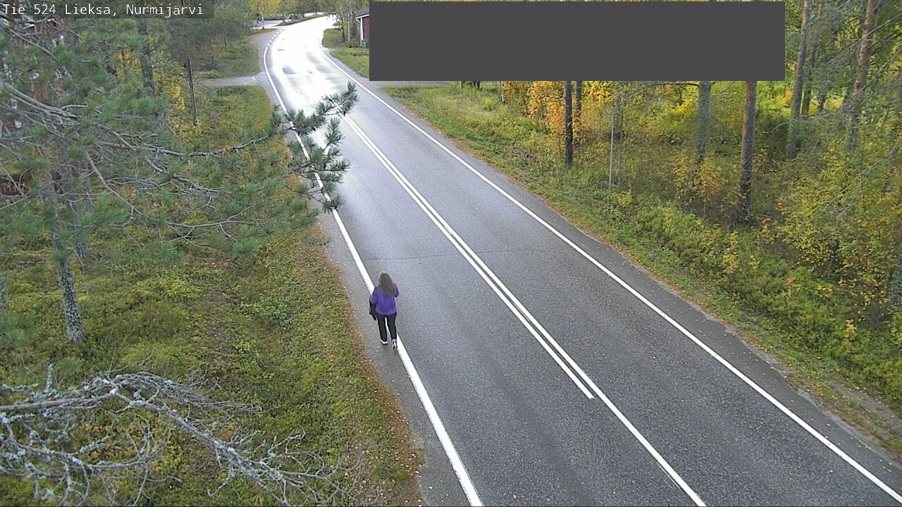 Kelikamerat Kuva Tie 524 Lieksa, Nurmijärvi, Lieksa, Pohjois-Karjala