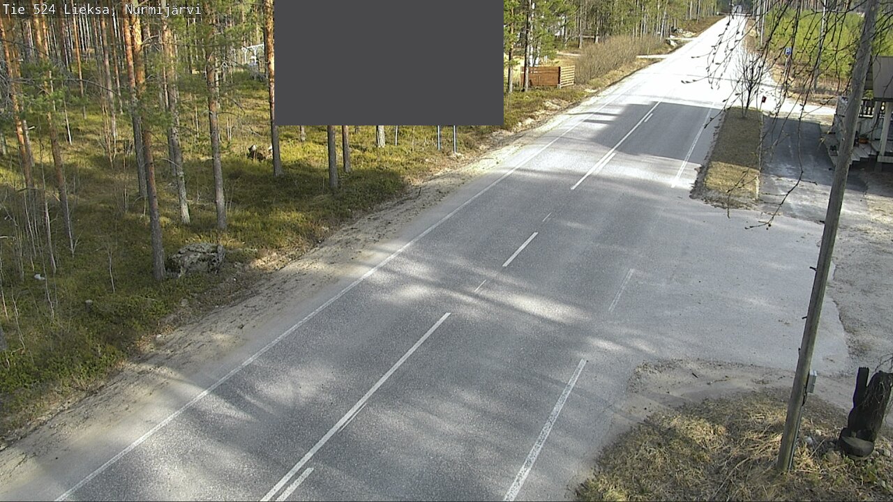 Weather Camera Image Väg 524 Lieksa, Nurmijärvi, Lieksa, Pohjois-Karjala