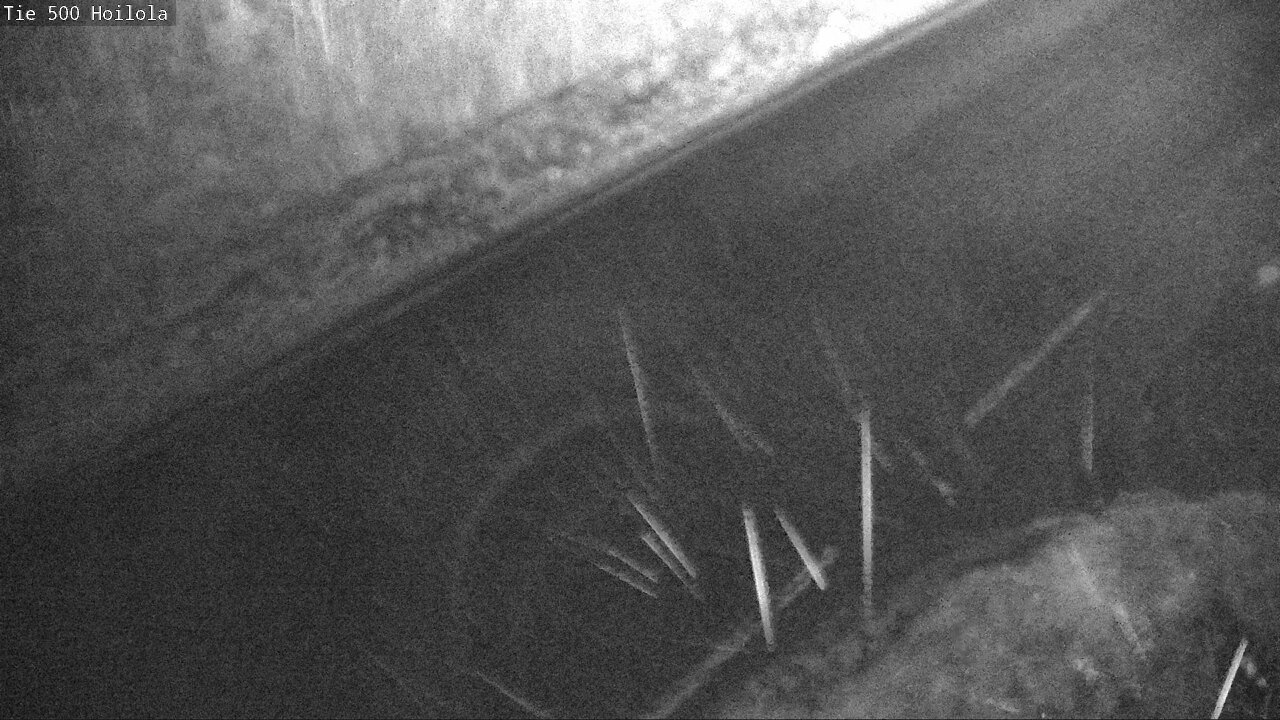 Kelikamerat Kuva Tie 500 Joensuu, Hoilola, Joensuu, Pohjois-Karjala