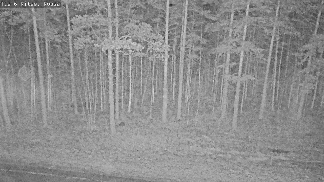 Kelikamerat Kuva Tie 6, Kitee, Kousa, Kitee, Pohjois-Karjala