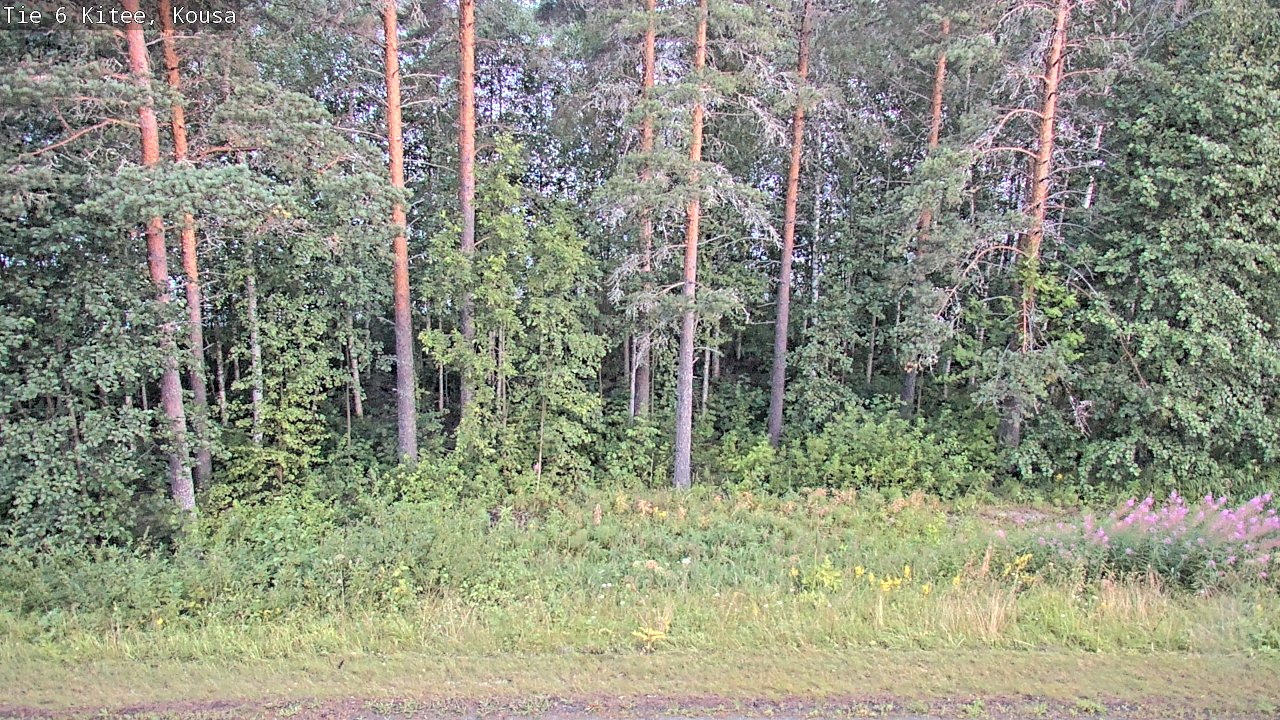 Kelikamerat Kuva Tie 6, Kitee, Kousa, Kitee, Pohjois-Karjala