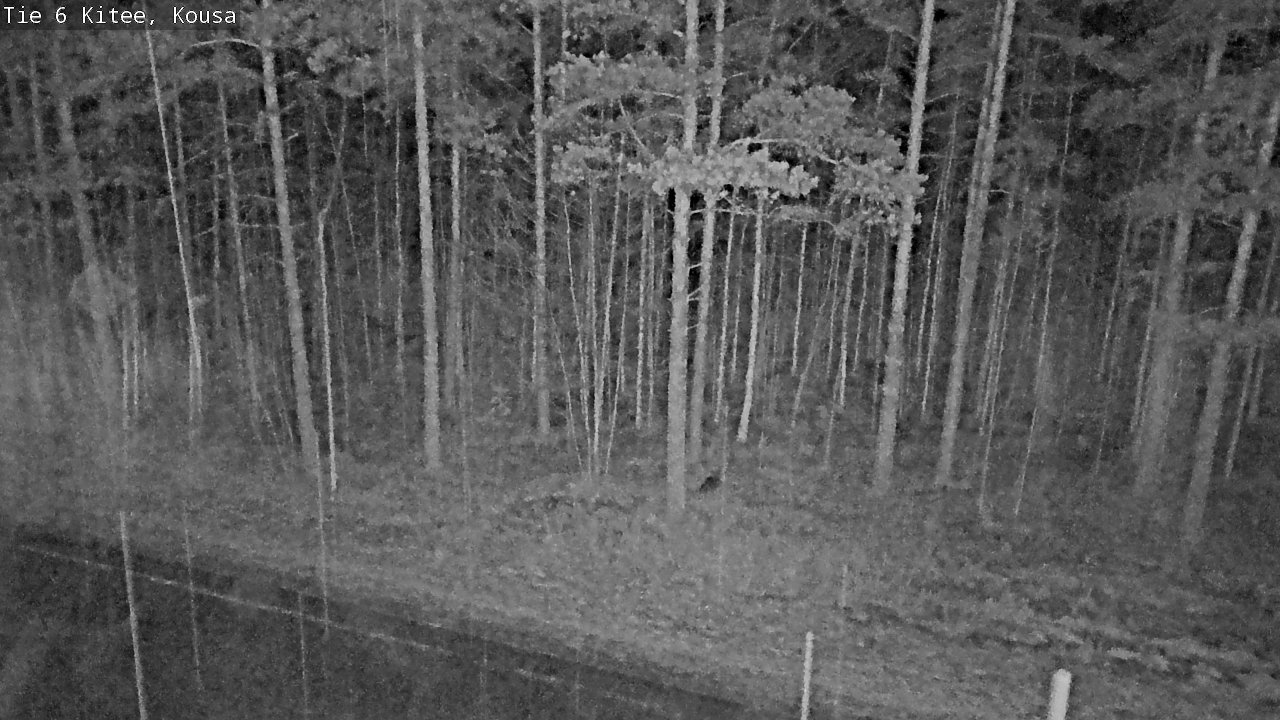 Kelikamerat Kuva Tie 6, Kitee, Kousa, Kitee, Pohjois-Karjala