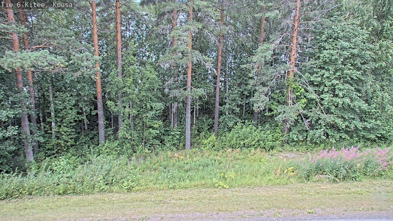 Weather Camera Image Väg 6, Kitee, Kousa, Kitee, Pohjois-Karjala