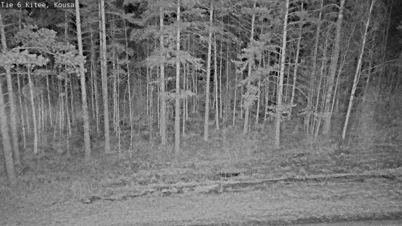 Kelikamerat Kuva Tie 6, Kitee, Kousa, Kitee, Pohjois-Karjala