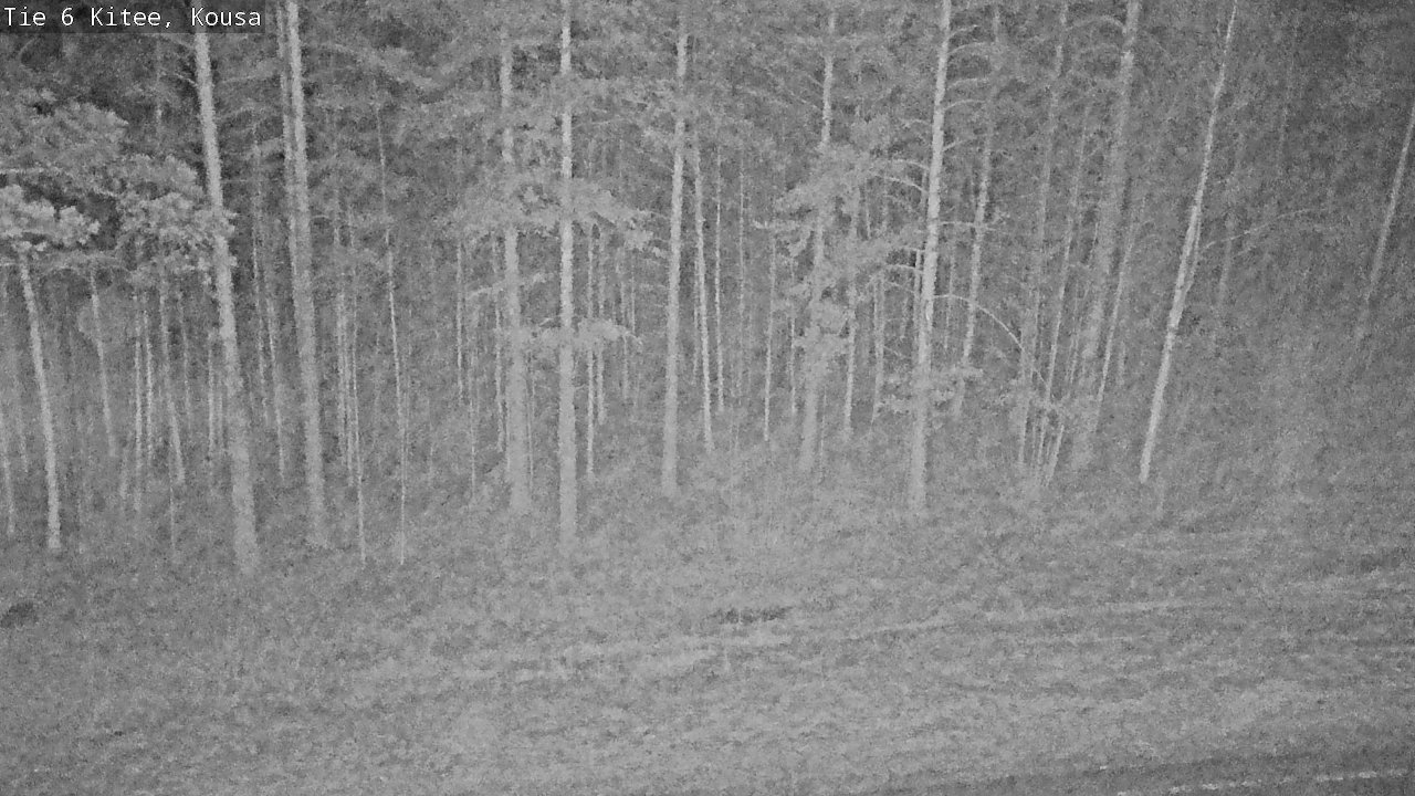 Kelikamerat Kuva Tie 6, Kitee, Kousa, Kitee, Pohjois-Karjala