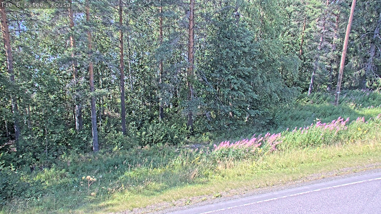 Kelikamerat Kuva Tie 6, Kitee, Kousa, Kitee, Pohjois-Karjala
